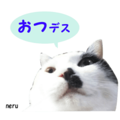 [LINEスタンプ] たまと仲間たち2