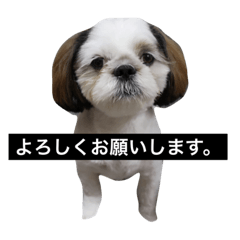 [LINEスタンプ] MOKUの生活。