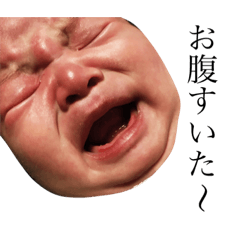 [LINEスタンプ] ふみちゃんスタンプ2