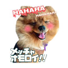 [LINEスタンプ] 関西弁犬リッチー