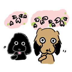 [LINEスタンプ] はぁるがきたよぉんロップ＆シャル