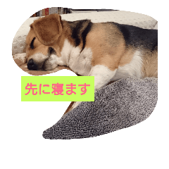 [LINEスタンプ] えあろだよ