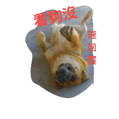 [LINEスタンプ] Be weird dog