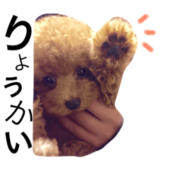 [LINEスタンプ] おおもり ゆずくん