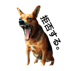 [LINEスタンプ] 表情豊かな雑種犬のスタンプ