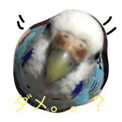 [LINEスタンプ] まめさんのスタンプ