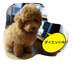 [LINEスタンプ] はぴらき5