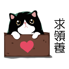 [LINEスタンプ] A cat named Hairball