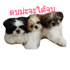 [LINEスタンプ] baby doggieの画像（メイン）