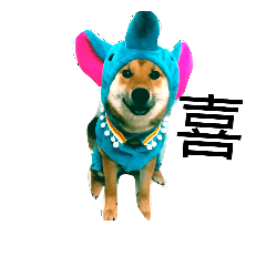 [LINEスタンプ] Shiba Lady Luna2