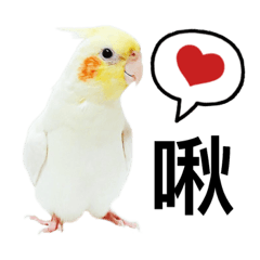 [LINEスタンプ] The voice of the pet