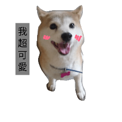 [LINEスタンプ] Pig shibe lnu 2