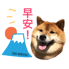 [LINEスタンプ] Shibainu Littlebao 2