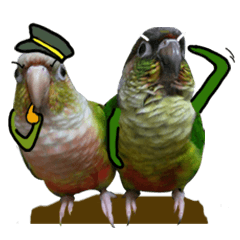 [LINEスタンプ] Momo＆Siousiou are conures