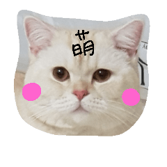 [LINEスタンプ] my name is miru