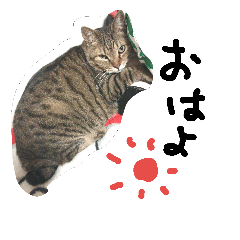 [LINEスタンプ] CHI-BI-TA