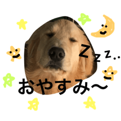 [LINEスタンプ] ちびすた2