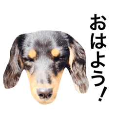 [LINEスタンプ] すかいのきもち