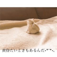 [LINEスタンプ] ぷぅ王子のまったりすたんぷぅ2の画像（メイン）