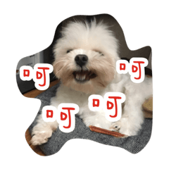 [LINEスタンプ] Dog-LaoDa