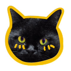 Black Cat Bibi With Yellow Eyes