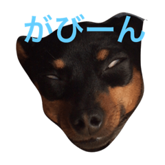 [LINEスタンプ] ふたばとはな