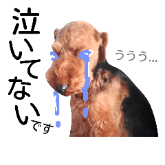 [LINEスタンプ] ウェルシュテリア③