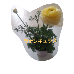 [LINEスタンプ] Flowers With Name