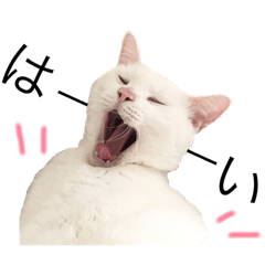 [LINEスタンプ] ぶさぶさうずら君