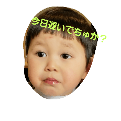 [LINEスタンプ] taisei stamp0520