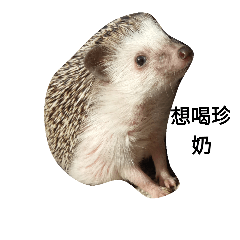 [LINEスタンプ] Hedgehog"s life with lin