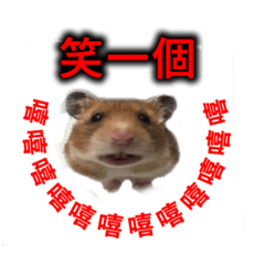 [LINEスタンプ] Hamster Bao bao 2