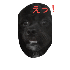 [LINEスタンプ] こころのなか 2