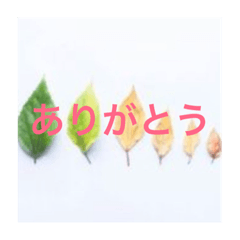 [LINEスタンプ] 葉っぱであいさつ