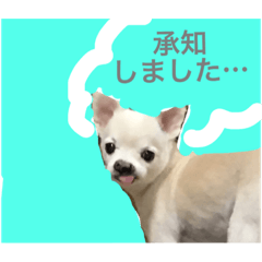 [LINEスタンプ] チワワと茶トラと…