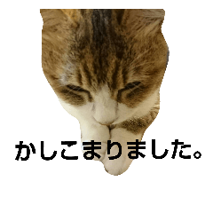 [LINEスタンプ] 番長！事件です。