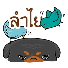 [LINEスタンプ] Sumlee The Dog