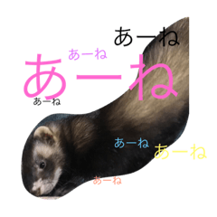 [LINEスタンプ] くっくとめいちゃん(そしてハム)2