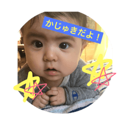 [LINEスタンプ] かじゅきのすたんぷ