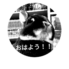 [LINEスタンプ] パルムのひと言 00