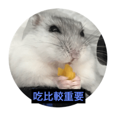 [LINEスタンプ] I love Hamster Baby