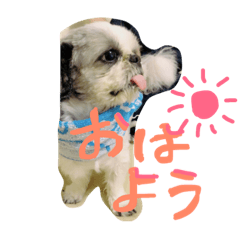 [LINEスタンプ] ケンケンちゃんです