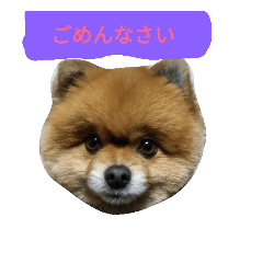 [LINEスタンプ] かわいすぎるくるみ