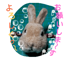 [LINEスタンプ] animal pompon (2)