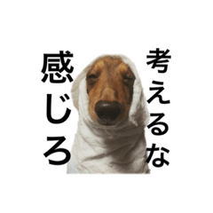 [LINEスタンプ] はしすけまつこ