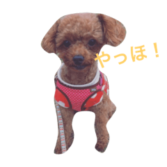 [LINEスタンプ] ラム君