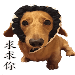 [LINEスタンプ] Dog be good