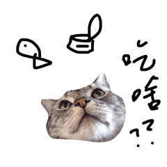 [LINEスタンプ] Grayball is not a pig