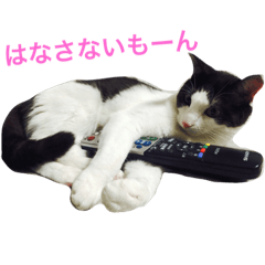 [LINEスタンプ] ハチワレふらっふぃー第1弾