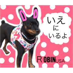 [LINEスタンプ] Robinと愉快な仲間たち その1